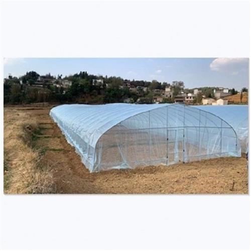 猪鸡大棚钢管骨架外遮阳连x栋热浸镀锌定K制全套6米配件养殖棚3