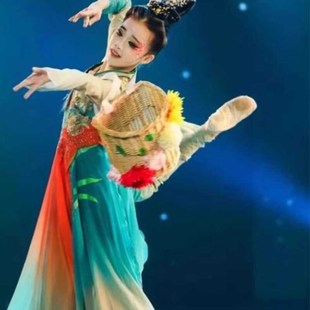 采菊东篱下古典舞演出服女飘逸中国风汉唐独舞大摆裙艺考舞蹈服装