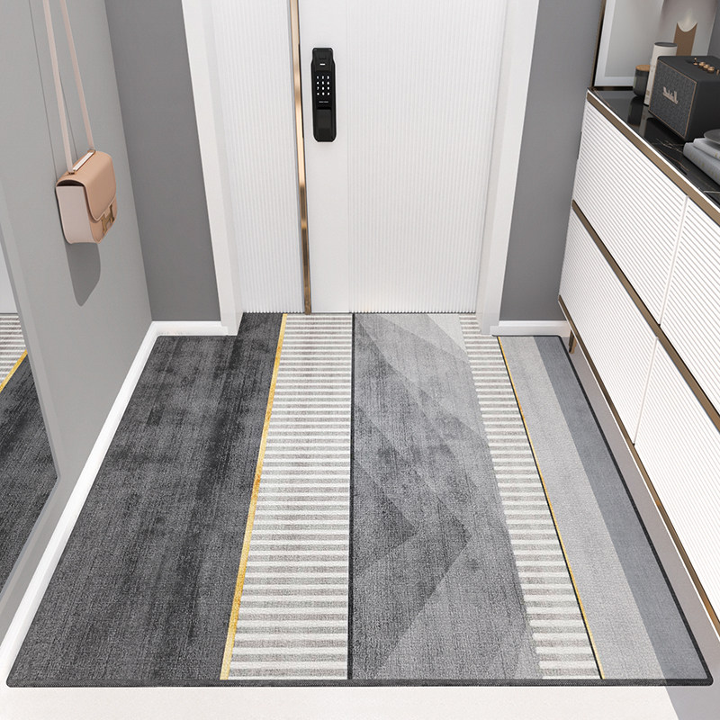 极速用进门口地垫门厅客厅轻奢现代入户门垫防滑脚垫子踩脚地毯定