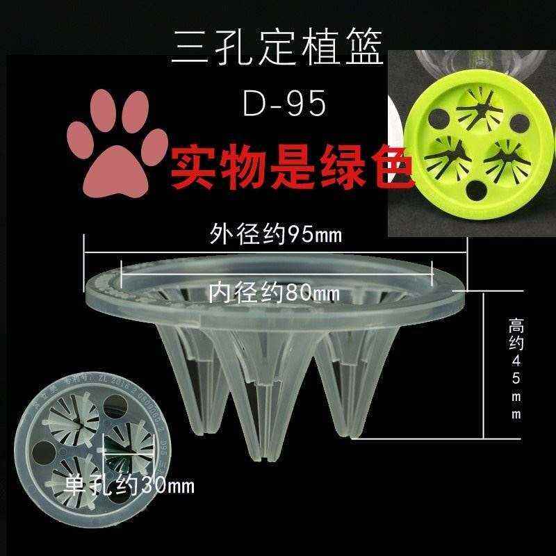 。唐拓水培植物固定篮富贵竹专用三孔定植篮固定架塑料水培植物发