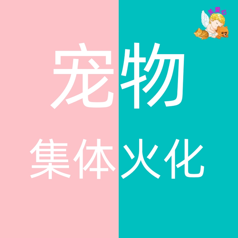 成都关爱心宠物火葬服务殡葬丧葬猫狗集体火化小动物安葬安乐服务