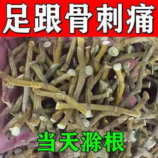 网红足跟痛专用药 脚后跟疼痛脚跟骨刺走路刺疼足跟痛 永不在痛