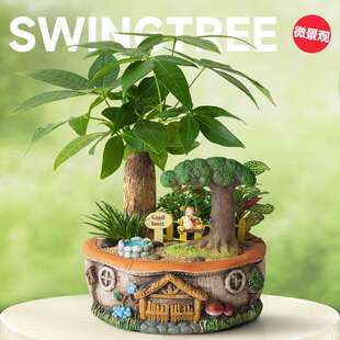 发财树盆景小绿植室内盆栽文竹植物创意可爱办公室桌面微景观摆件