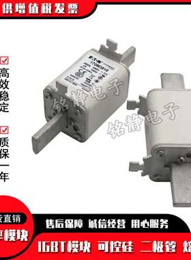 170M2678 170M2679巴斯曼熔断器170M2680 170M2681