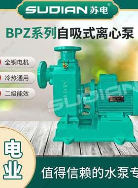 BPZ150-150-20-18.5/2苏电泵业SUDIAN井用河水自吸灌溉管道增压泵