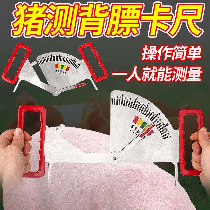 猪用背膘卡尺猪膘情测定指导器饲喂不锈钢卡尺膘情妊娠母猪背膘尺