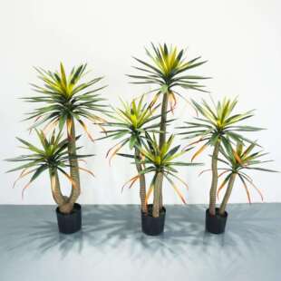 仿真植物大叶剑兰凤尾丝兰树剑麻仿真绿植盆景造景摆件工程绿植