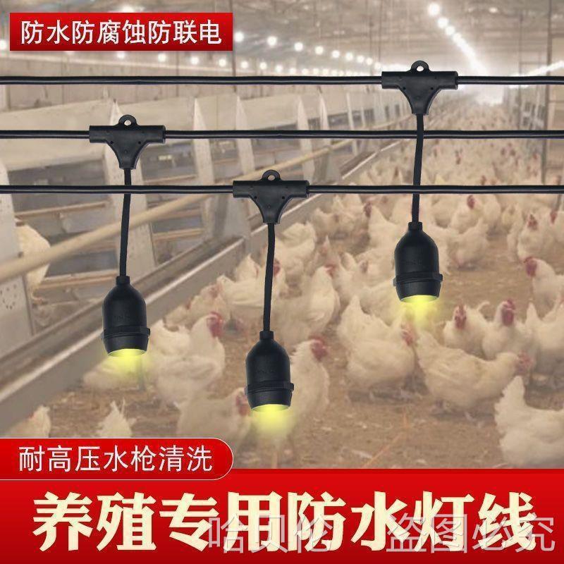 养殖场大棚防水保温灯头