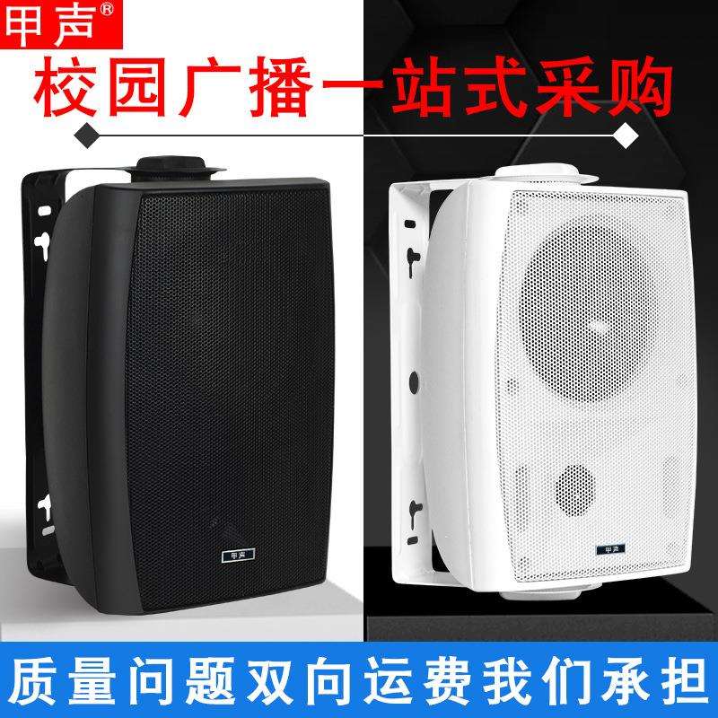 甲声LS定压壁挂式音响校园广播系统店铺商场背景音乐挂壁式音箱
