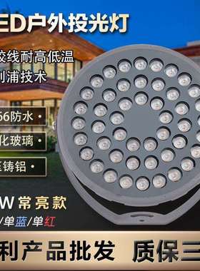 48wLED单色投光灯防水户外照树灯插地灯别墅草坪亮化灯超亮
