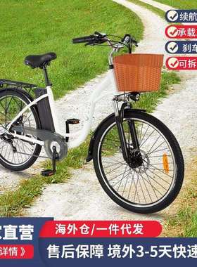 DYU电动自行车成人代步单车可拆卸电池增强安全性和便携性续航久