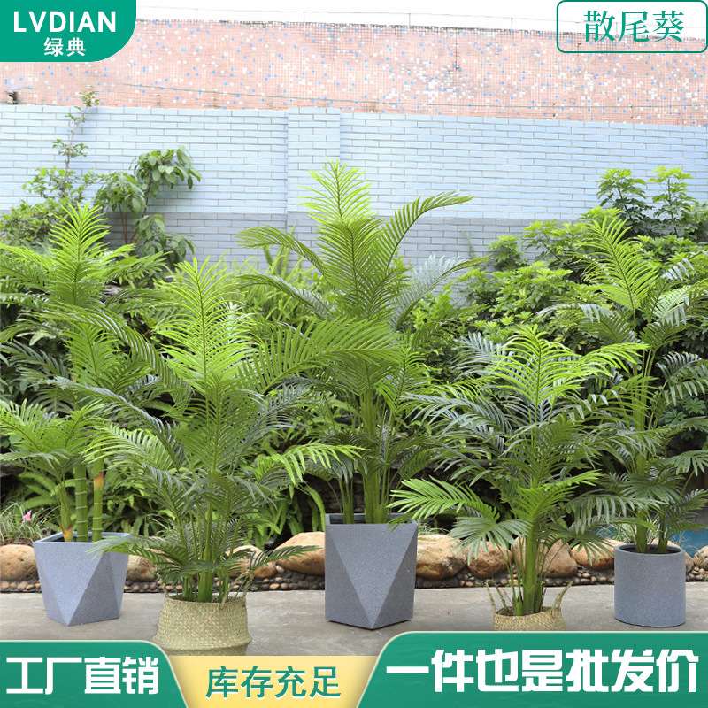 仿真散尾葵仿真绿植PU仿真树散尾葵树假树仿真散尾葵