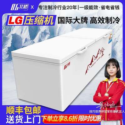 冰柜商用全冷冻柜家用冷藏两用大容量卧式双温小型冷柜雪糕柜冰箱
