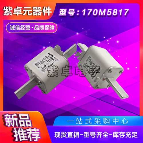 170M5957 170M5958 170M5959 170M5960 170M5961巴斯曼快速熔断器