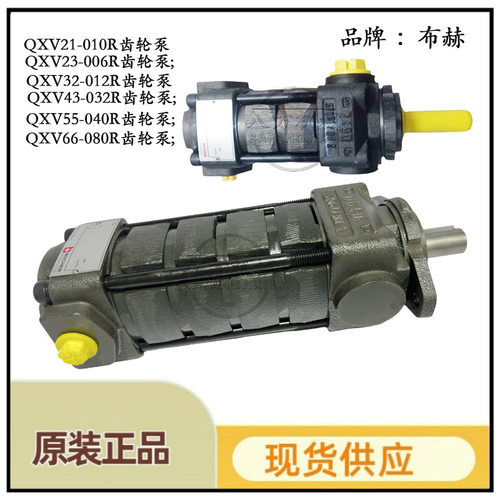 德国布赫QX61-160R定量齿轮泵