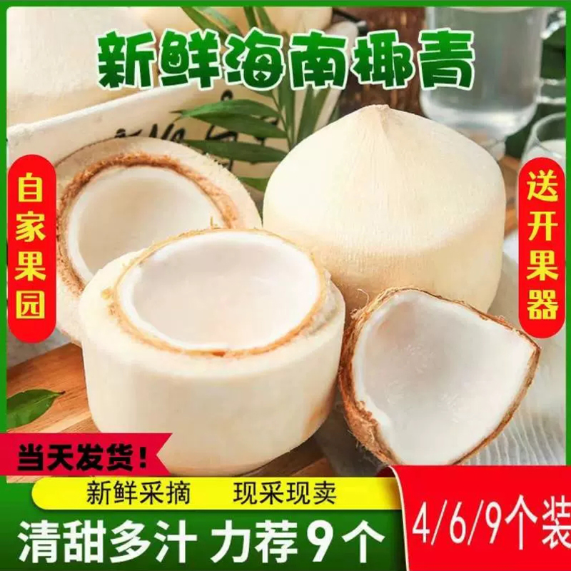 鲜苑胖胖现在新鲜椰青产地直发