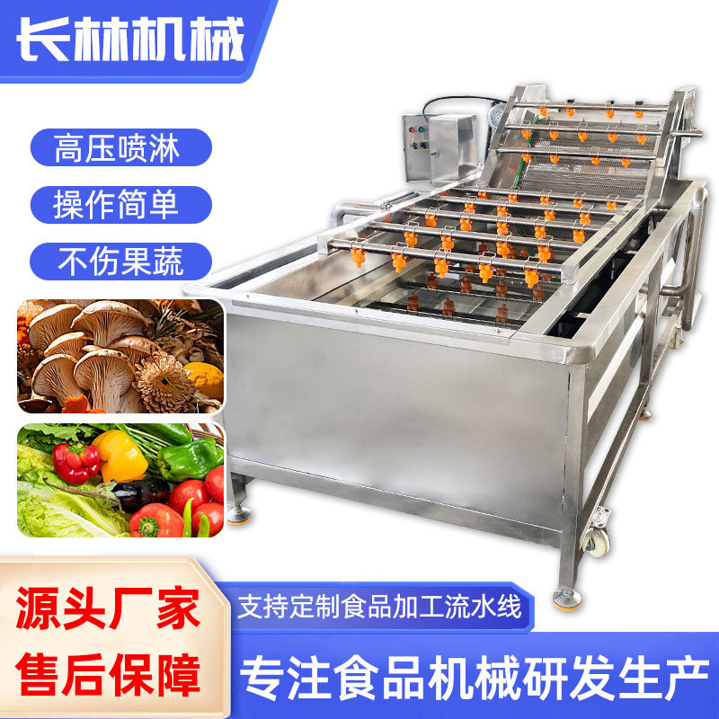 白芍气泡清洗设备 蕨菜香菇杏鲍菇清洗流水线 金银花青菜清洗机