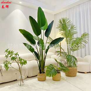 手感叶旅人蕉绿植盆栽大型室内客厅落地装饰造景摆件仿真假树