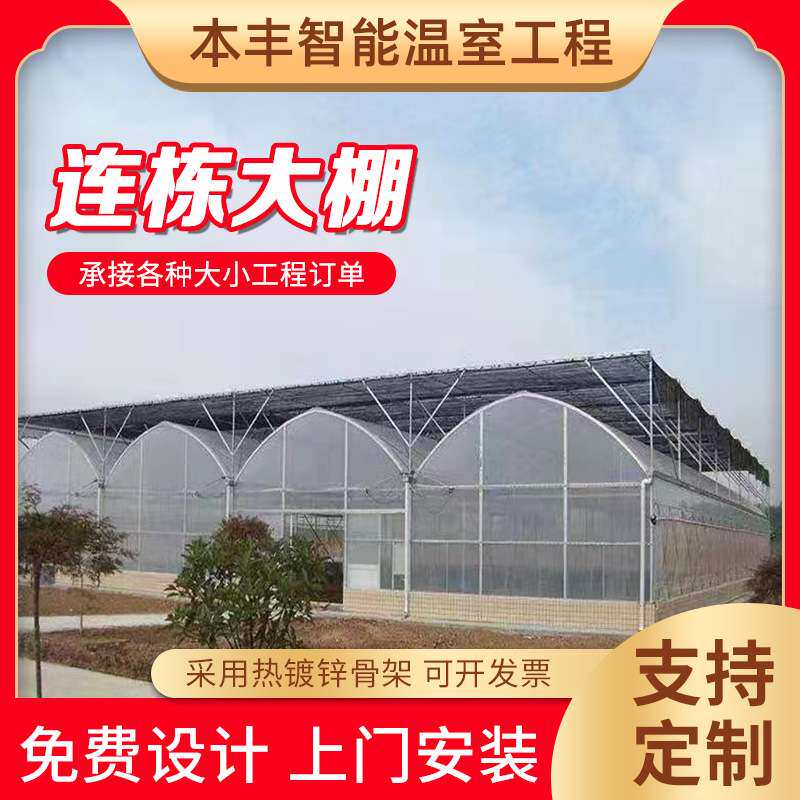 薄膜连栋蔬菜大棚养殖棚热镀锌钢骨架外遮阳塑料棚