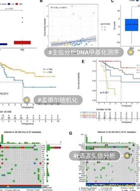 医学生信分析单细胞测序转录组TCGA GEO数据库挖掘分析服务