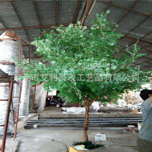 枫树出口阿拉伯大枝叉抗风大型绿植酒店休闲场所装饰摆设