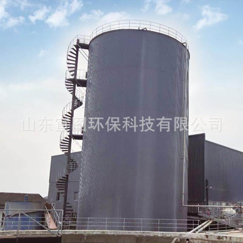 高浓度有机废水处理设备 CSTR全混反应器 搅拌式反应器 宣图环保