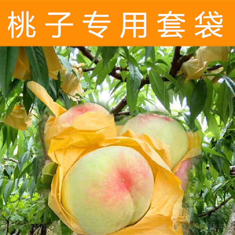 现货速发桃子套袋桃袋油桃毛桃黄桃套袋透气水果套袋果袋水蜜桃袋