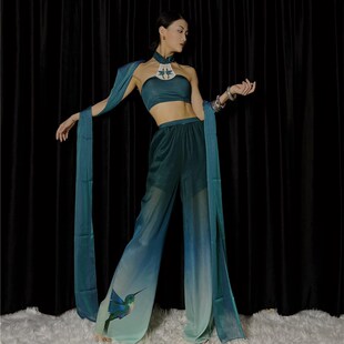 速发WYZ盖盖表鸟印花套装民族风舞蹈服飘带敦煌风古风变演服渐青