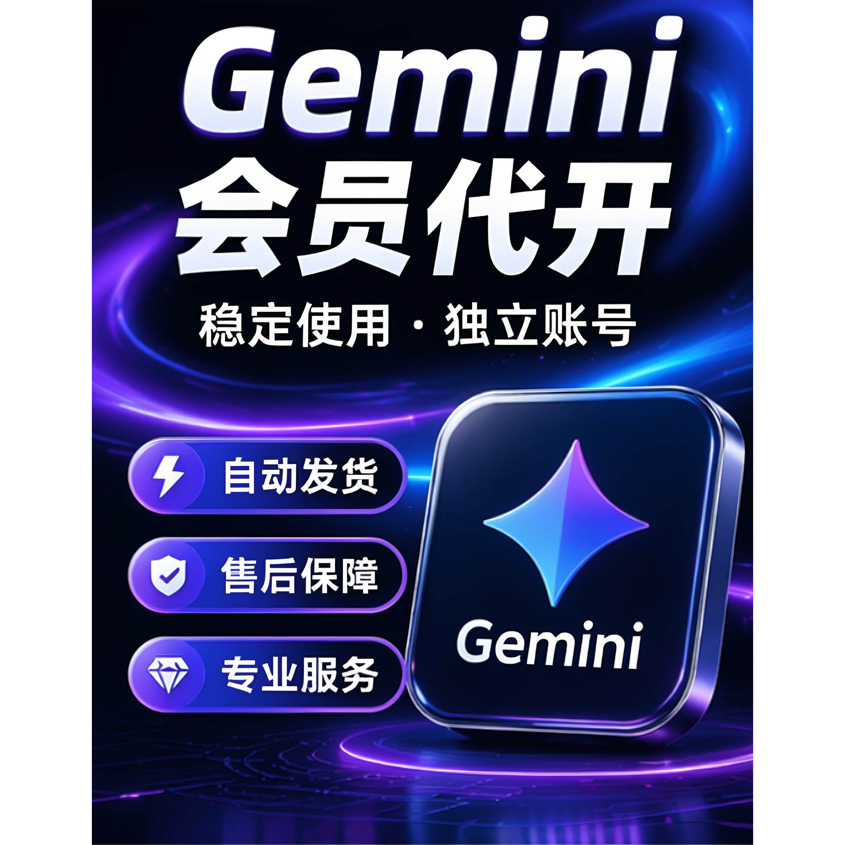 Gemini开通协助 AI订阅代付 使用指导 一对一支持 稳定使用 - 实物图