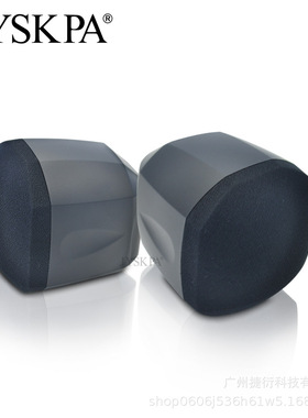 WR310V  迷你壁挂式音箱店铺专用会议室功放套装挂墙商用