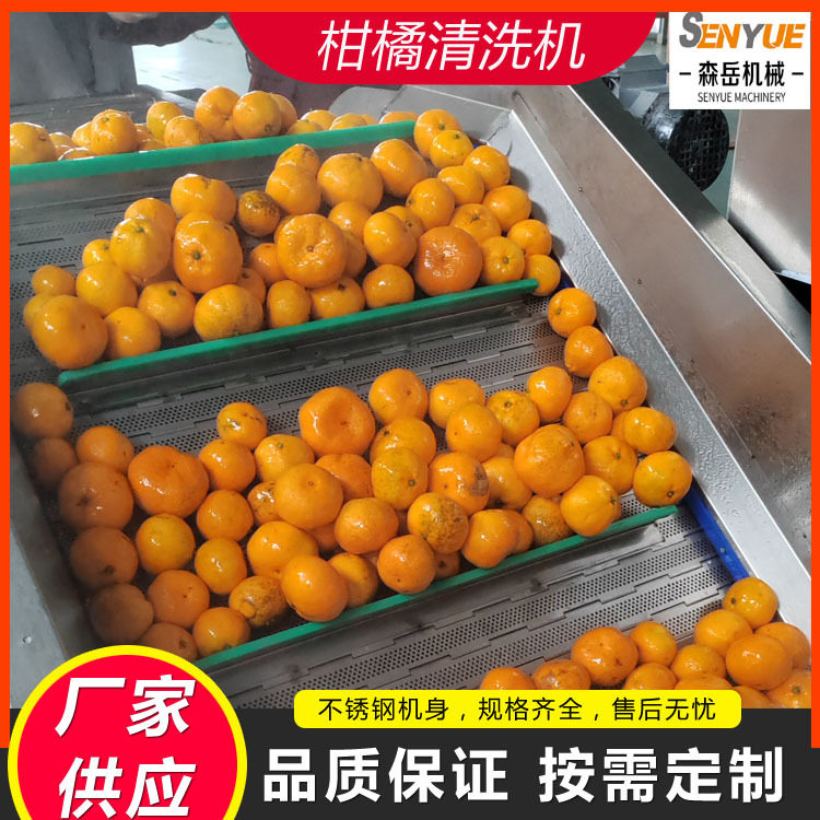 大型沃柑洗果机 水果抛光机打蜡机橙子砂糖橘清洗风干生产线