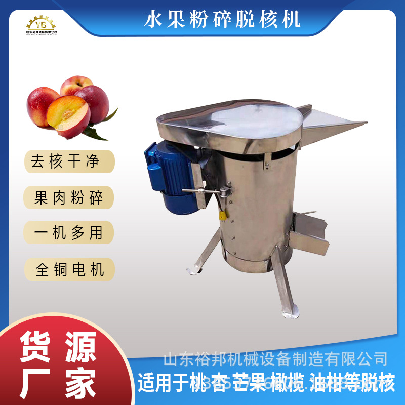 大型工业桃子脱核机樱桃酸枣芒果不锈钢去核粉碎机水果去核打浆机