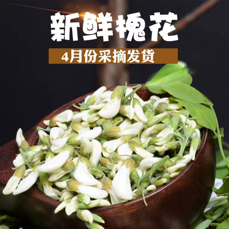 【现货速发】新鲜洋槐花河南现摘花骨朵野菜3斤2斤包邮杨槐花食用