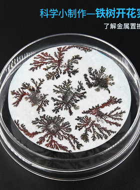铁树开花科学实验儿童手工diy科技小制作学生化学材料包益智玩具