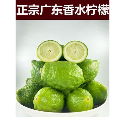 广东香水柠檬一级无籽新鲜水果青柠檬青柠商用奶茶店专用5斤10斤