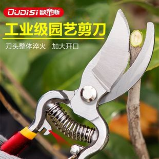 园艺剪刀强力果枝剪刀修剪花枝绿化竹子粗支家用长柄枝条剪园林剪