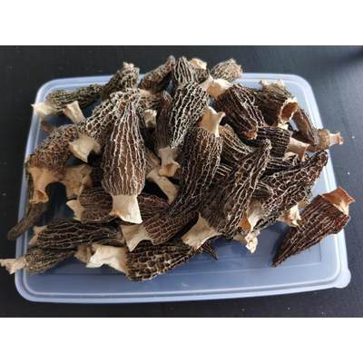 羊肚干货特级云南特产食材营养菌菇新鲜菇类蘑菇菌类250g非野生