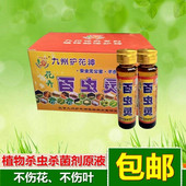 bug Flower succulent insecticide insect pesticide plant