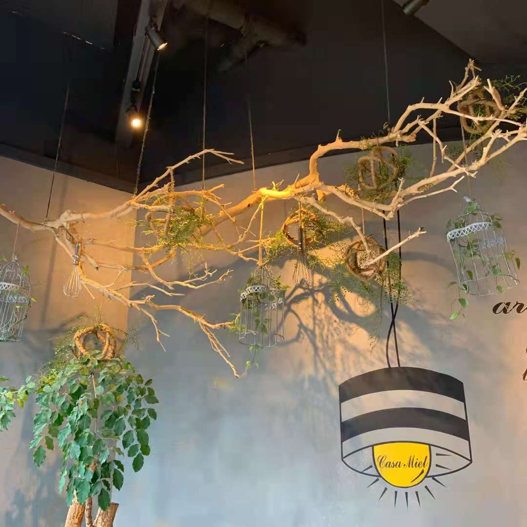 极速去皮干树枝天然造型干燥树枝枯枝装饰实木树干造型树枯木造型