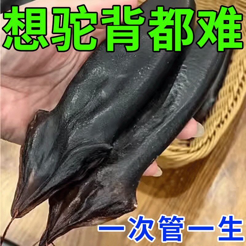 极速治驼背神器青少年成人含胸脖子前倾高低肩脊柱侧弯曲僵硬矫正