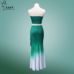 傣族舞蹈服装新款演出服女艺考西双版纳孔雀舞鱼尾渐变练习裙定制