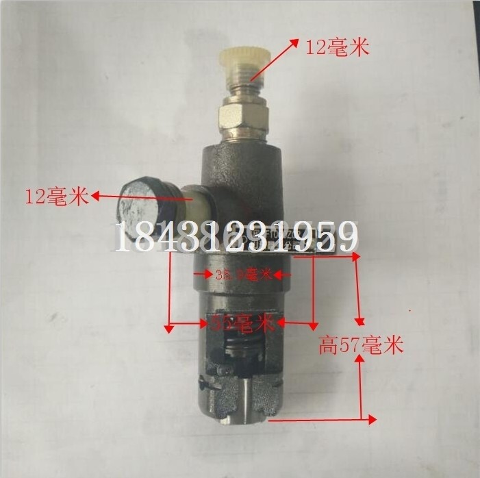 极速常柴 常发 常州单缸柴油机配件 R176 喷油泵总成 柴油泵 柱塞