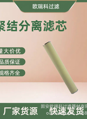 供应替代PLF40H聚结分离油滤芯PLF40H