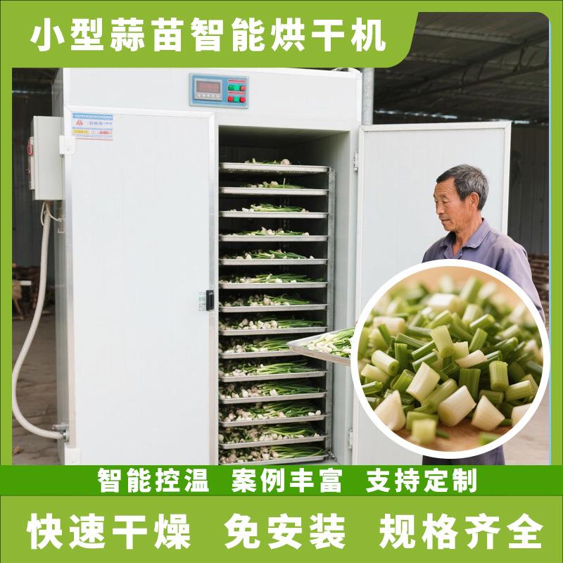 蒜苗烘干机可移动 全自动小型大蒜叶青蒜烘干房 新鲜蒜叶烘干设备