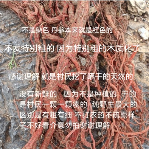 2026沂蒙山丹参中药材无硫正品土丹参野生丹参非种植山丹参一斤