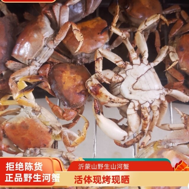 螃蟹干药用纯野生河蟹入药煲汤山螃蟹接骨老品种正品野河蟹非养殖