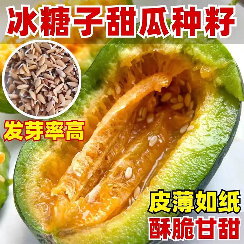 方震四季冰糖甜瓜种子春季播种夏季开花酥脆甘甜发芽率高适合新手