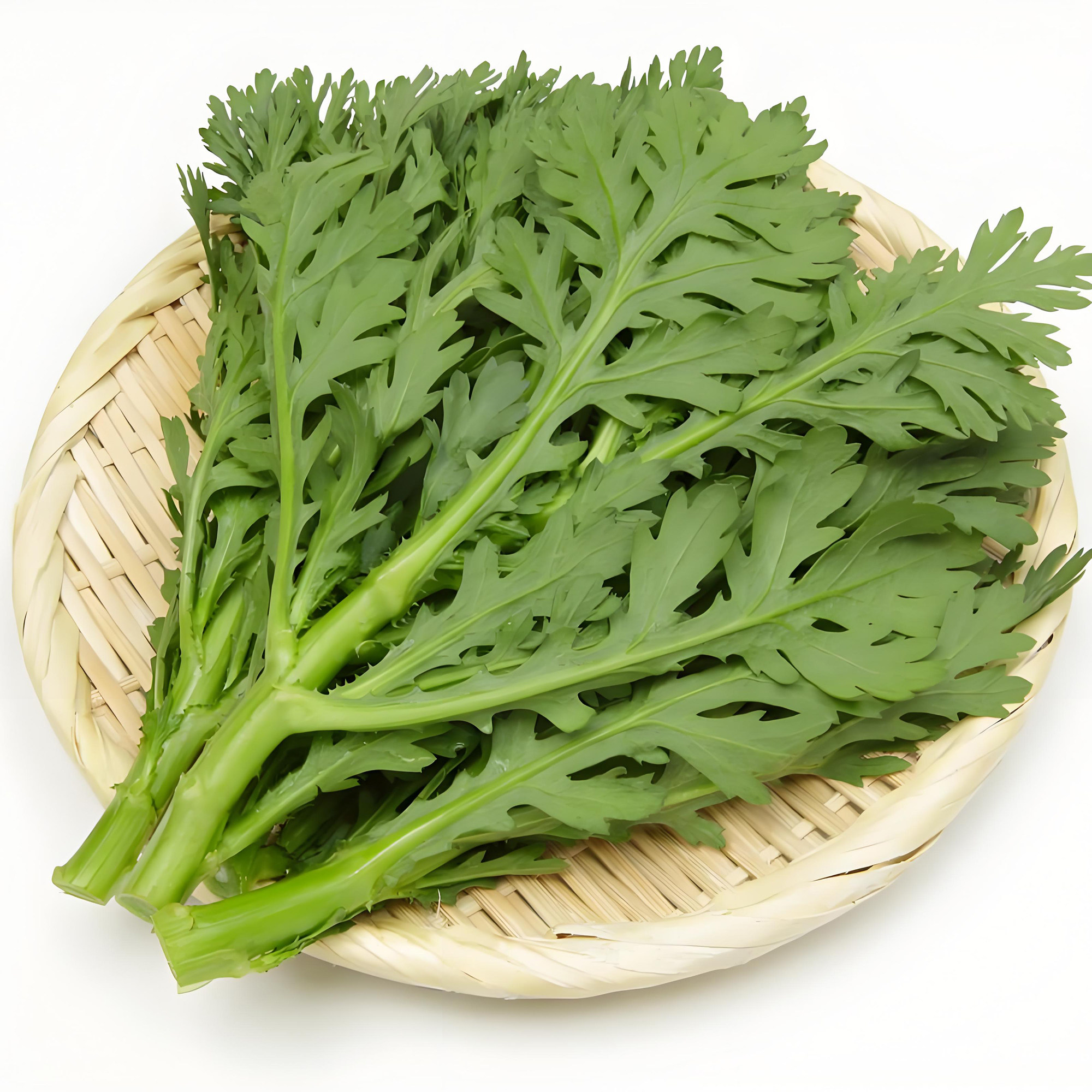 皇帝菜中叶茼蒿种子青菜种籽春菊菜种茼蒿菜种籽种四季蔬菜孑菜籽