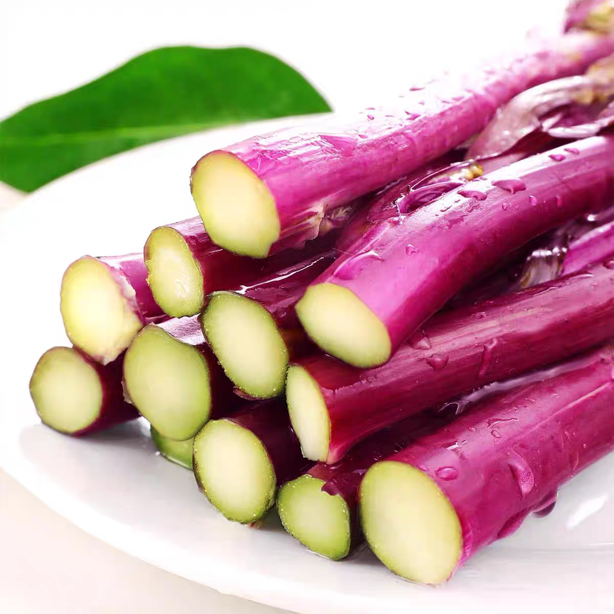 2包方震春季精选红菜苔种子易种