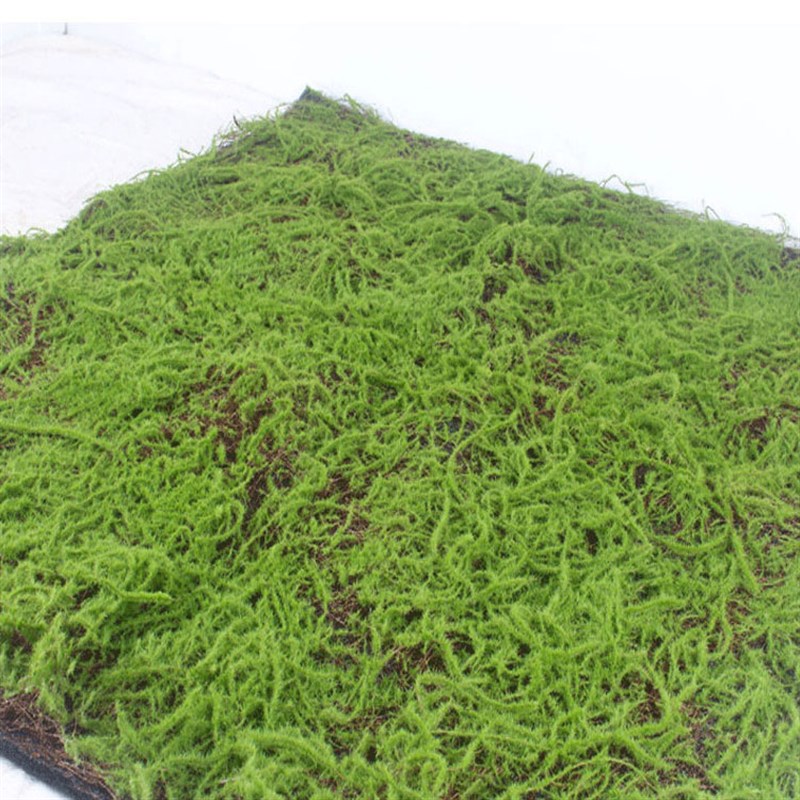 加密苔藓草皮微景观装饰植绒假苔藓仿真青苔盆景铺面人造草坪包邮